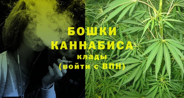 ПСИЛОЦИБИНОВЫЕ ГРИБЫ Балахна